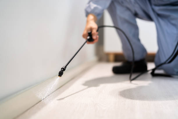 Certified termite inspector examining foundation in Wickliffe