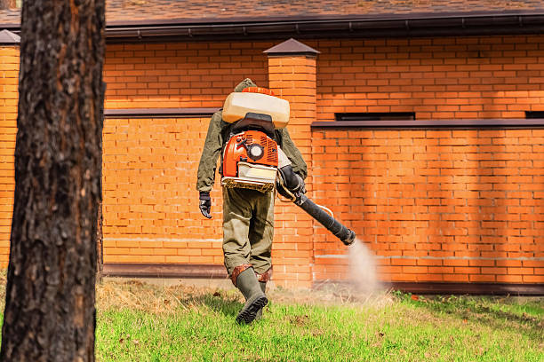 Top rated local Wasp Removal specialists in Wickliffe, OH